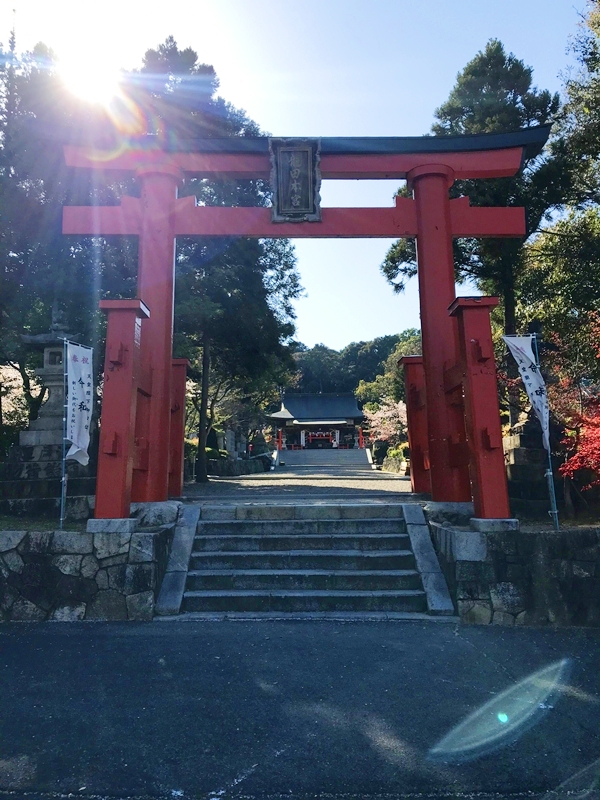 奈良 龍田大社 朱色の両部鳥居と桜の風景 縁結び神社 アクセス
