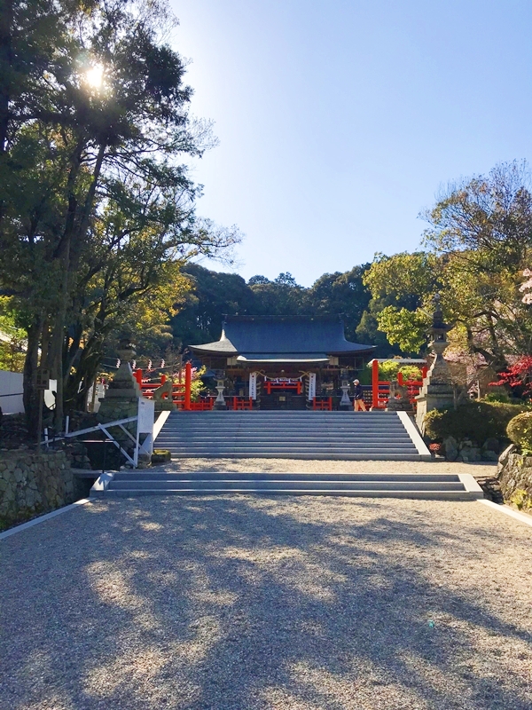 龍田大社 玉砂利の参道と拝殿へのアプローチ パワースポット 歩き方
