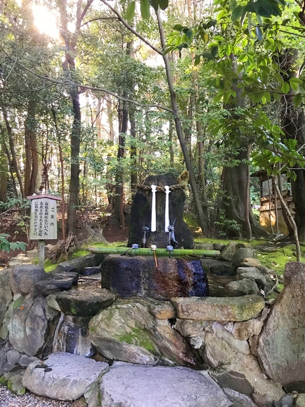 龍田大社 白龍大神の磐座 柄杓で水を掛ける縁結びパワースポット