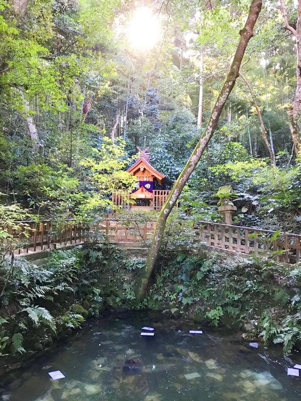八重垣神社 鏡の池 縁結び占いの方法と用紙